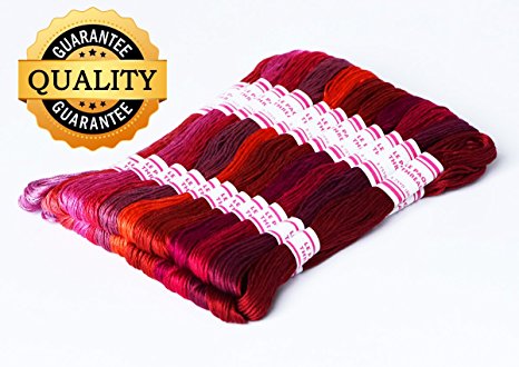 LE PAON DMC Floss Pack, 24-Pack embroidery thread silk floss thread stitching thread cotton (COLOR 2)
