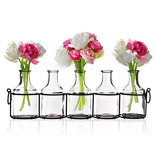 Set of 5 Clear Glass Mini Vases in Black Metal Rack, 5-Inches, Decorative Centerpiece for Flower Arrangements
