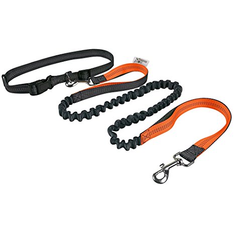 HARBO Handsfree Running Dog Leash - Durable Bungee Leash, Reflective Stitching - Shock Absorbing Adjustable Waist Belt, for Running, Jogging, Walking
