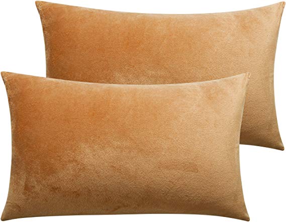 NTBAY Zippered Velvet Queen Pillowcases, 2 Pack Super Soft and Cozy Luxury Solid Color Pillow Cases, 20 x 30 Inches, Camel