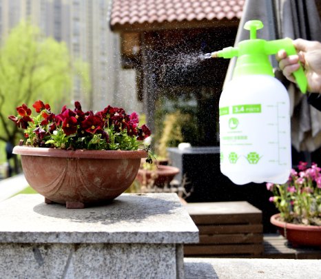 PUMP PRESSURE WATER SPRAYERS - Handheld Garden Sprayer Also Sprays Chemicals and Pesticides - Lawn Mister Bottle to Spray Weeds, Neem Oil for Plants and Even Wash Car - FREE BONUS GARDEN EBOOK BUNDLE