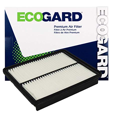 ECOGARD XA6124 Premium Engine Air Filter Fits Hyundai Sonata / Kia Optima, Sorento / Hyundai Santa Fe, Azera / Kia Cadenza (Renewed)