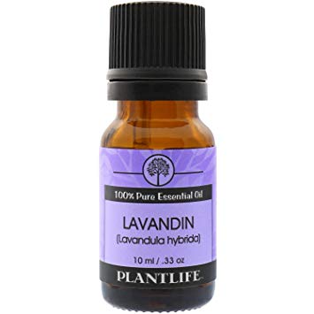 Lavandin Essential Oil (100% Pure and Natural, Therapeutic Grade) from Plantlife