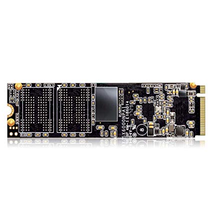 ADATA XPG SX6000 PCIe 1TB 3D NAND PCIe Gen3x2 M.2 2280 NVMe 1.2 R/W up to 1000/800MB/s Solid State Drive (ASX6000NP-1TT-C)