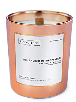 Benevolence LA Scented Candles Soy Candles - Aromatherapy Candles Relaxing Candles Rose Gold Glass Decorative Candle Perfect Scented Candles for Home Decor and Stress Relief (Eucalyptus Orange)