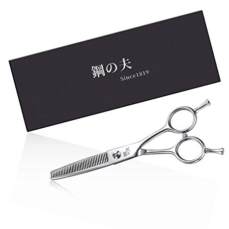 Professional Hair Scissors - Barber Hair Thinning Scissors 6.0-inch Razor Edge Hair Thinning - Texturizing Shears for Salon - Made from Stainless Steel with Fine Adjustment Screw (Silver-Tooth Shear)