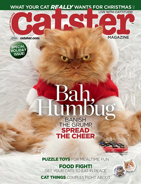 Catster (1-year auto-renewal)