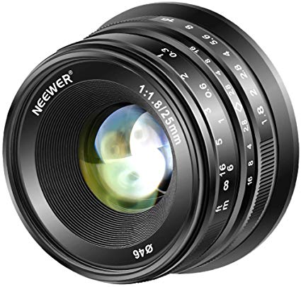 Neewer 25mm f/1.8 Manual Focus Prime Fixed Lens for Fujifilm APS-C Digital Mirrorless Cameras XPro2 XE3 XH2 X100F X100T X100S XH1 XF2 XPro1, All Metal Construction (Black)