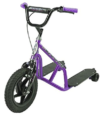Skoooch- Skoooch Outdoor Toy (Purple Metallic)