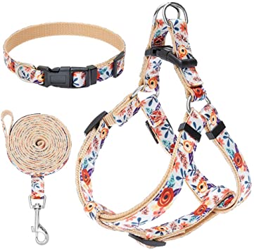 EXPAWLORER No Pull Dog Harness and Leash Set with Collar - Heavy Duty & Adjustable Basic Harness for Small Medium Dogs & Cats