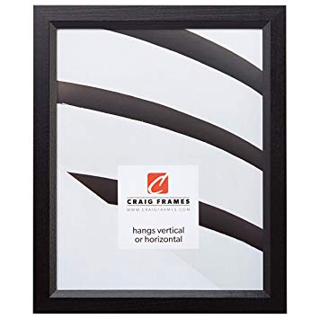 Craig Frames 7171610BK 20 by 27-Inch Picture/Poster Frame, Wood Grain Finish.825-Inch Wide, Solid Black