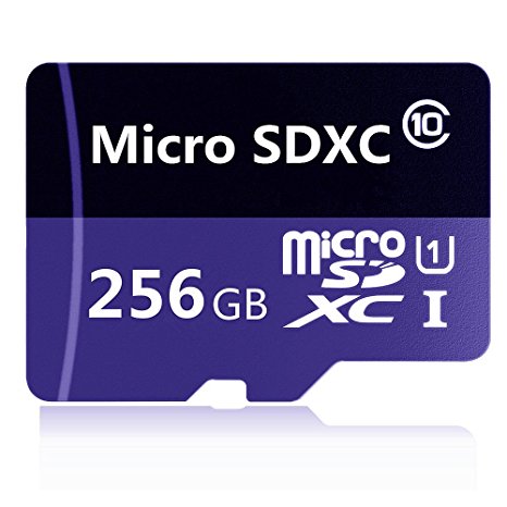 Micro SD Card 256GB, GGenerici 256GB High Speed Class 10 Micro SD SDXC Card with Adapter (256GB)