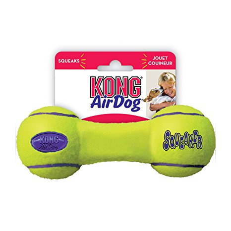 KONG Air Dog Squeaker Dog Toy