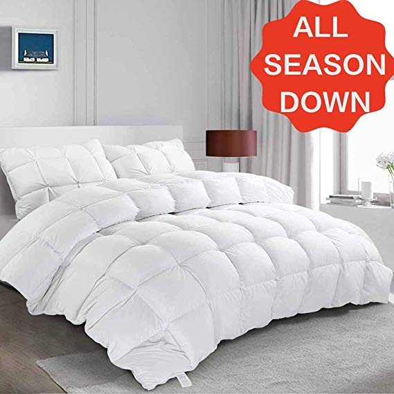 SOPAT Luxurious Down Cluster Queen Comforter Duvet Insert All Seasons Solid White Feather Down Proof Shell with Tabs,750  Fill Power, White, Queen - 90" x 90"