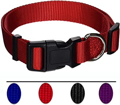 AEDILYS Adjustable Nylon Dog Collar Classic Solid Colors for Small Sized Dogs Neck, Multicolor