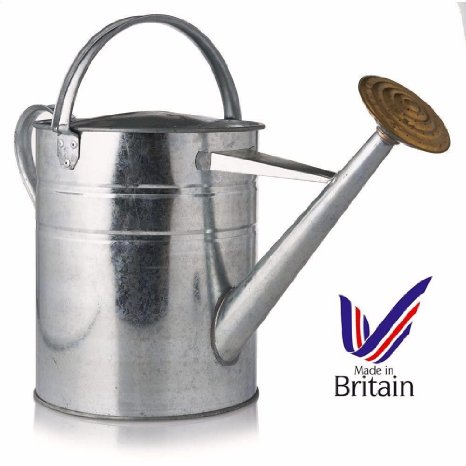 Galvanised Metal Watering Can Plant Garden 9 Litre / 2 Gallon   Solid Brass Rose