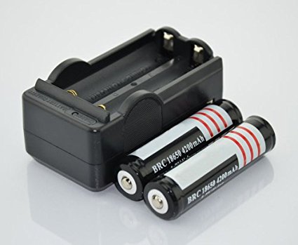Hossen 2Pcs 3.7V 18650 4200mah Protected Rechargeable Lithium Battery with 18650 battery Charger