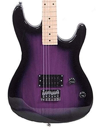 39 Inch PURPLE Electric Guitar & Carrying Case & Accessories, (Guitar, Whammy Bar, Strap, Cable, Strings, & DirectlyCheap(TM) Translucent Blue Medium Guitar Pick) PRO-EG Series