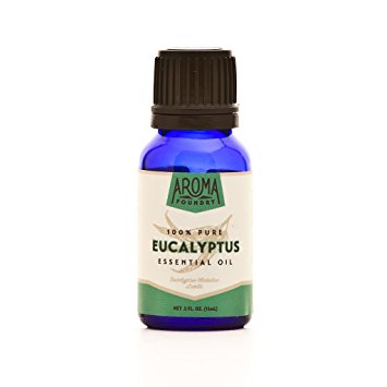 Aroma Foundry Eucalyptus Essential Oil - 15 ml - 100% Pure & All Natural