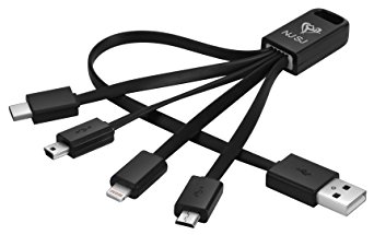 NJSJ 4 in 1 Multi USB Charging Cable (8 Inches) with 8 Pin Lightning / USB Type C / Micro USB / Mini USB Ports for iPhone iPad,Samsung Galaxy,Bluetooth Speaker Headset Smart Watch and More (Black)