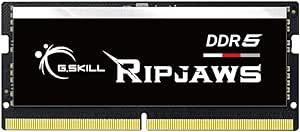 G.SKILL Ripjaws DDR5 SO-DIMM Series DDR5 RAM 16GB (1x16GB) 5600MT/s CL46-45-45-89 1.10V Unbuffered Non-ECC Notebook/Laptop Memory SODIMM (F5-5600S4645A16GX1-RS)