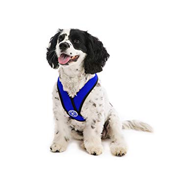 Gooby - Comfort X Head-in Harness, Choke Free Small Dog Harness with Micro Suede Trimming and Patented X Frame