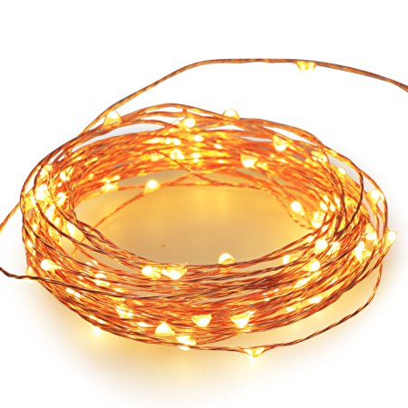 NEWSTYLE 33Ft 10M Warm White 100 LED Lights Strings 100 LEDs on Copper Wire 33ft LED Starry Light with 12v Power Adapter For Christmas Wedding and Party