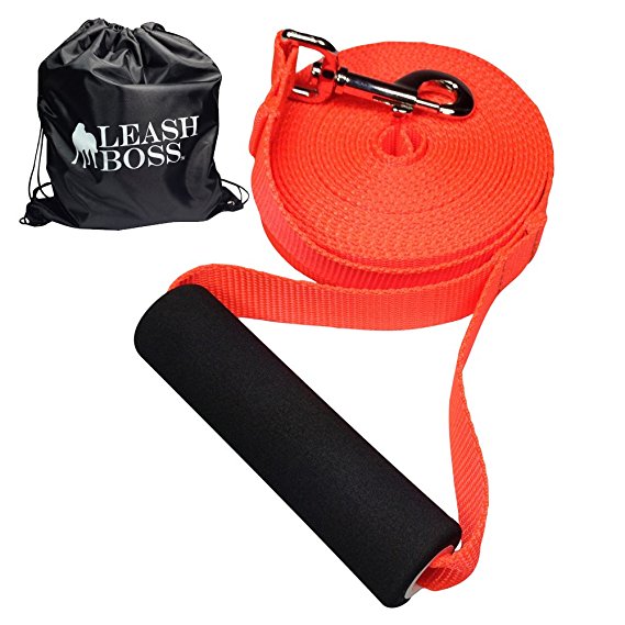 Leashboss Free Range - Long Dog Leash for Large Dogs - 1 Inch Heavy Duty Nylon Training Lead with Padded Handle - High Visibility Orange - Extra Long Dog Leash