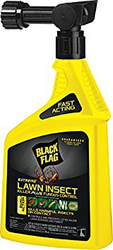 Black Flag 32 oz Ready-to-Spray Extreme Lawn Insect Killer Plus Fungus Control