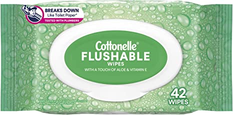 Cottonelle GentlePlus Flushable Wet Wipes with Aloe & Vitamin E - 1 Flip-Top Pack, 42 Total Flushable Wipes