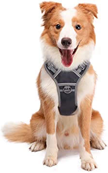 ATOPARK Dog Harness No-Pull Pet Harness leashes with 2 Metal Rings & Comfort Handle Adjustable Reflective Breathable Oxford Soft Material Vest Easy Control for Small Medium Large Dog