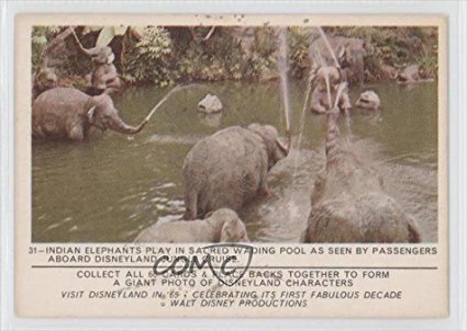 Indian Elephants at the Jungle Cruise COMC REVIEWED Good to VG-EX (Trading Card) 1965 Donruss Disneyland Puzzle Back #31