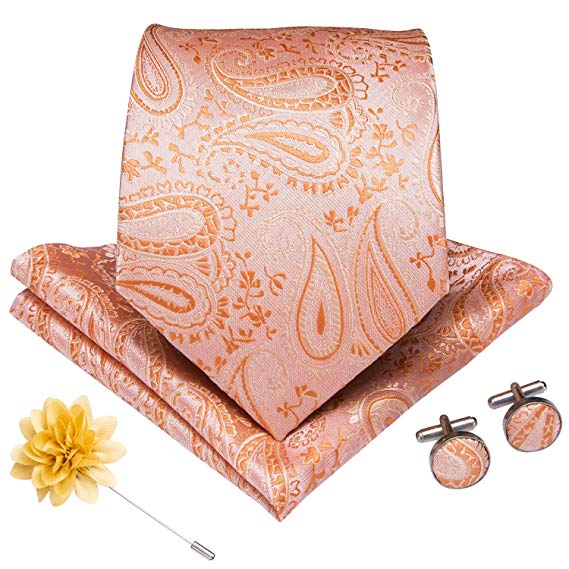 DiBanGu Silk Tie Woven Handkerchief Men's Necktie and Lapel Pin Brooch Set Paisley Plaid Solid Floral