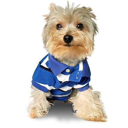 Stinky G College Blue Stripe Dog Polo Shirt