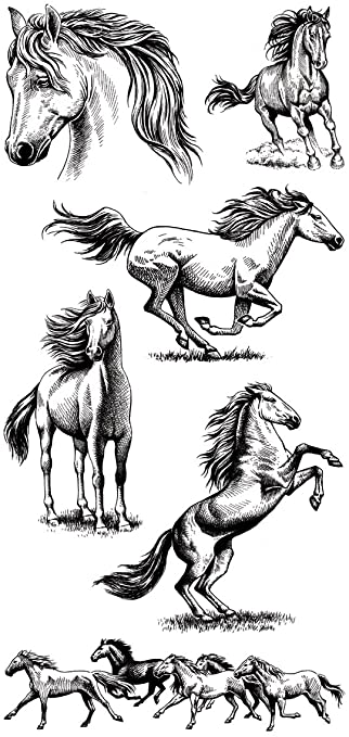 Inkadinkado Horse Clear Stamp Set for Arts and Crafts, 6pc