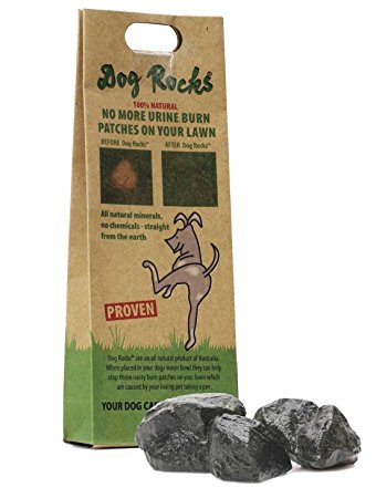 Dog Rocks – All Natural Grass Burn Solution for Dogs Prevents Lawn Urine Stains - 600 Gram Box (1 Pack)