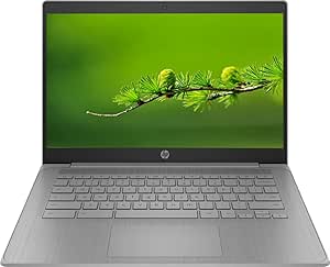 HP High Performance 13.9" HD Chromebook, Intel Processor Up to 2.55GHz, 4GB Ram, 64GB eMMC, Ultra-Fast WiFi, HDMI, Chrome OS, Dale Silver, Renewed