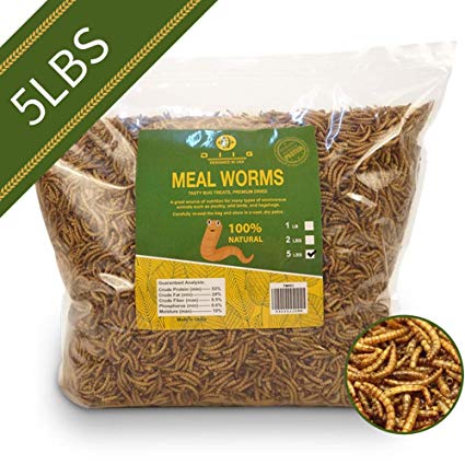 diig Non-GMO Dried Mealworms - Treats for Birds Chickens Hedgehog Hamster Fish Reptile Turtles, 5 lb