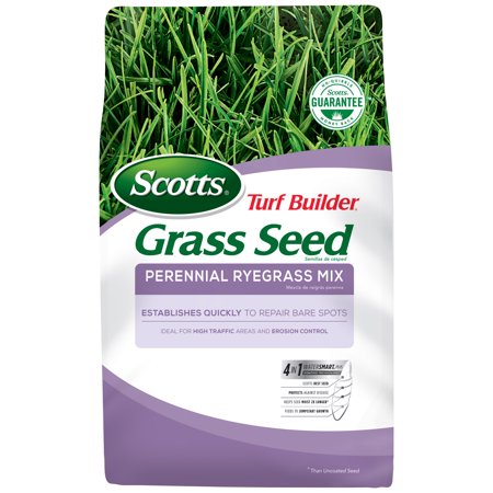 Scotts Turf Builder Grass Seed Perennial Ryegrass Mix