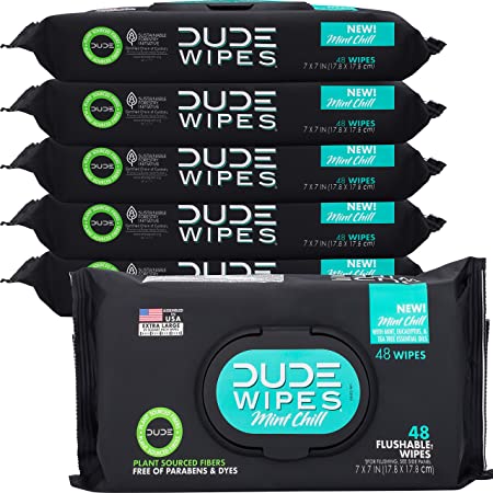 Dude Products Flushable Wet Wipes Dispenser, Mint Chill Scented (48 Wipes), 6 Count