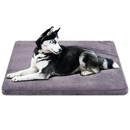 JoicyCo Dog Bed Large Bed Orthopedic Foam Dog Beds Mat Washable Mattress with Non-Slip Cover