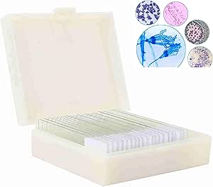 20pcs Microscope Slides Biology And Pathology Prepared Microbiological Bacterial Specimens Microscope Slide Set with Plastic Box