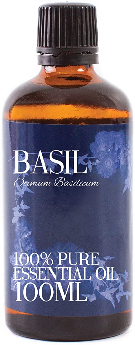 Mystic Moments | Basil Essential Oil - 100ml - 100% Pure