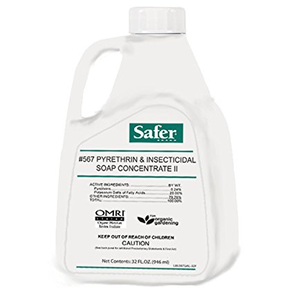 Safer Brand 567GAL-32 32 oz. Insecticidal Soap & Pyrethrin Concentrate