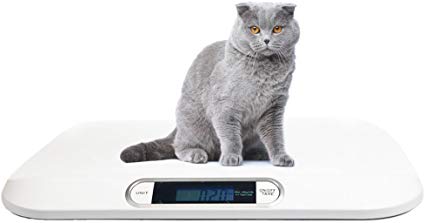 Digital Portable Pet Dog Cat Scale 44 lb x 0.22 lb