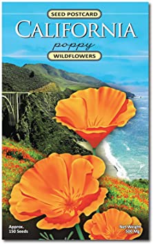 California Poppy Wildflower Seed Packet - Enjoy The Natural Beauty of California Flowers in Your Own Home Garden - State Flower