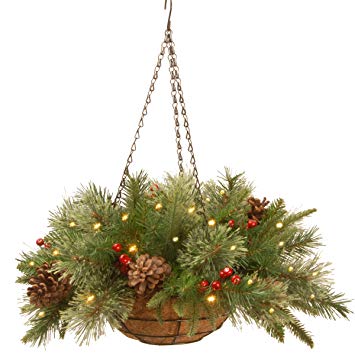 National Tree 20 Inch Feel Real Colonial Hanging Basket with Cones, Red Berries and 50 Warm White Battery Operated LED Lights with Timer (PECO1-300-20HB1)