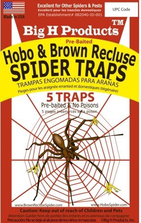 Big H Products Hobo and Brown Recluse Spider Traps