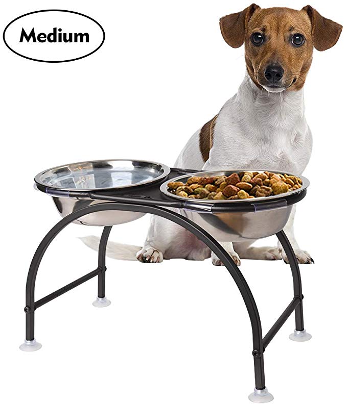 AISHN Elevated Dog Bowls Iron Stand Raised Pet Dog Feeder, 2 Removable Reusable Dog Bowls Stainless Steel Food and Water with Stand for Dogs