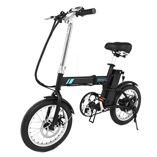 Pagacat 250W Battery Electric Power Assisted Bicycle Folding E-bike with Collapsible Frame(US STOCK)